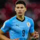 Hráči Uruguaye se střetli s kolumbijskými fanoušky, Darwin Nunez utrpěl těžkou ránu hlavou